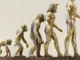 PENGERTIAN EVOLUSI TERBAIK